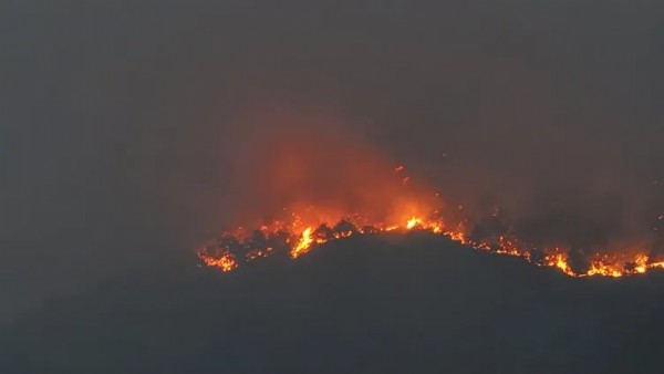 Sakarya ve Bilecik’te orman yangını! Alevlerle mücadele ikinci gününde
